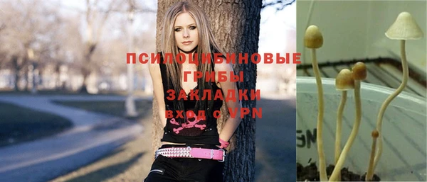 бутират Россошь