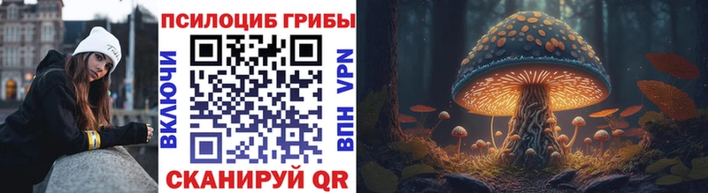 Галлюциногенные грибы Psilocybe Орехово-Зуево