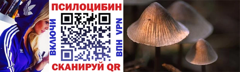 Купить  Орехово-Зуево  Псилоцибиновые грибы прущие грибы 